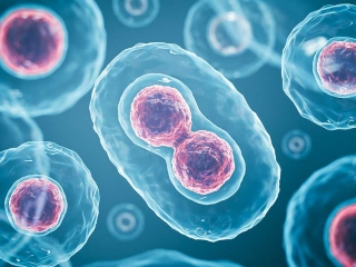 Tế bào gốc – Cơ hội mới trong điều trị bệnh thoái hóa tại Việt Nam